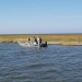 Shoreline Stabilization on Biloxi Marsh Utilizing Artificial Oyster Reef